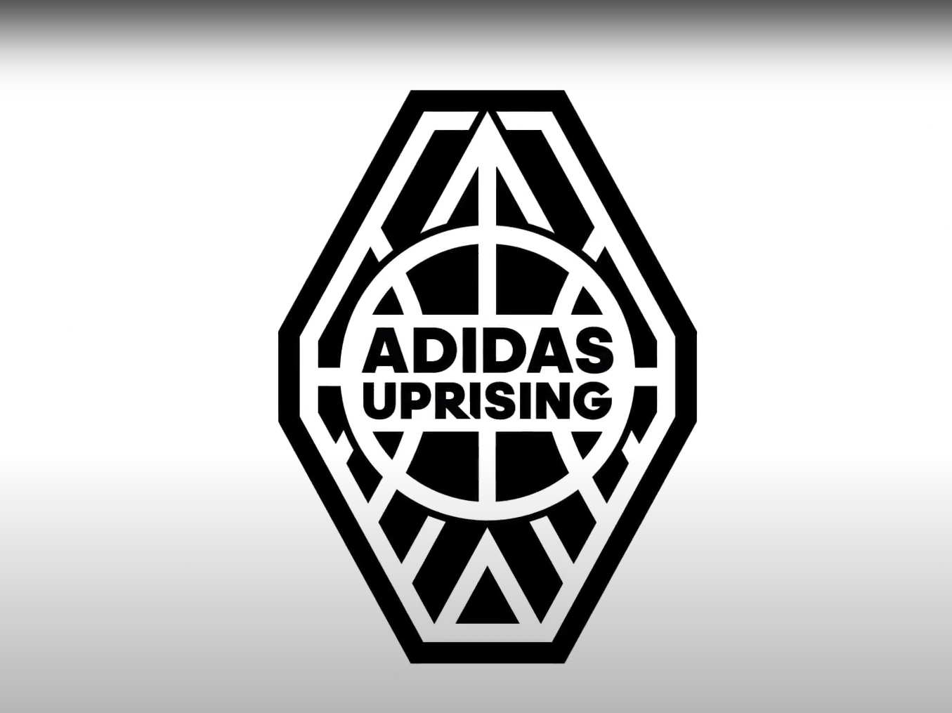 Motion Graphics Reel 2017